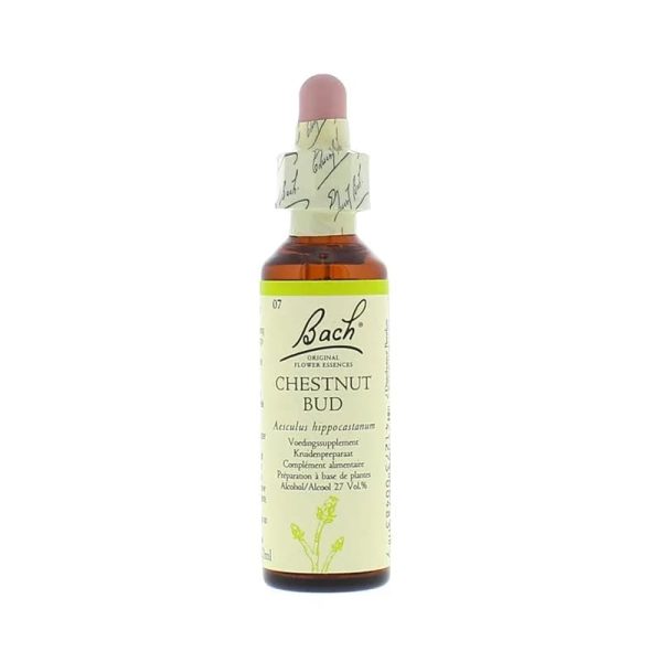 Fleurs de Bach – Chestnut Bud