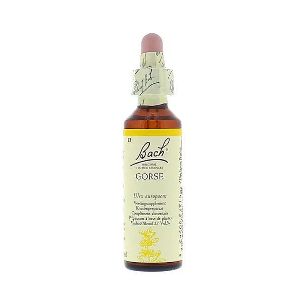 Fleurs de Bach – Gorse