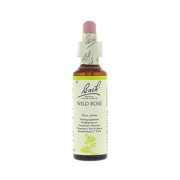 Fleurs de Bach – Wild Rose